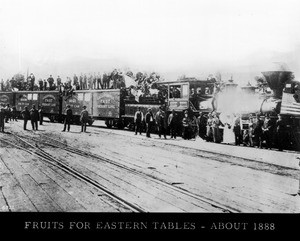 First dedicated fruit train leaving Los Angeles for the East with workers posed on top, Los Angeles, ca.1888