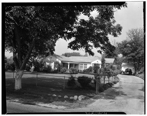 One acre farm near El Monte, showing a large tree at left, ca.1940