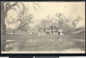 Group of men filling sacks to raise levees in Laton, ca.1910