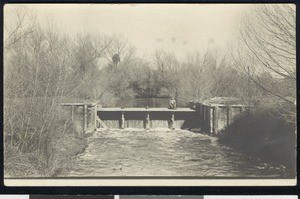 Man sitting on the headgate over King's River near Laton, ca.1910