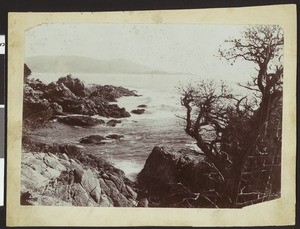 View of a rocky area by a body of water, taken from Garfield Park by the Great Salt Lake, Utah