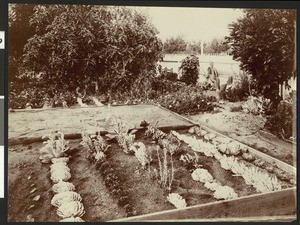 Raised garden bed at Luther Burbank's Experiment Grounds in Santa Rosa