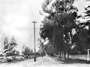 Santa Monica Boulevard in Hollywood looking west from Gower (?) Street, California, ca.1905