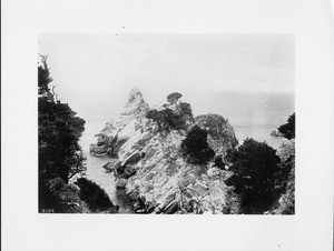 Cypress Point in Monterey, from the south, 1895