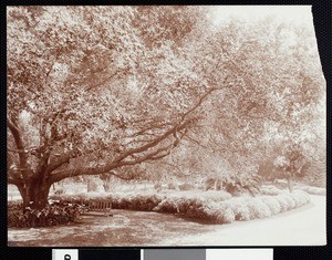 El Roble Grounds, Pasadena, ca.1910