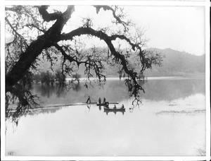 Fish traps at a spawning station, Ukiah, California, ca.1910