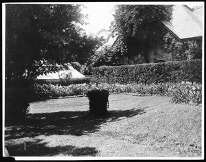 Mrs. Michael Connell's home, showing views of the yards, ca.1900