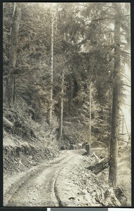 Elk Creek Road near Seaside, Oregon