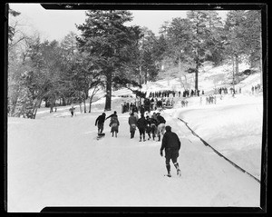 Large group of people tugging their toboggans up the slopes at Big Pines