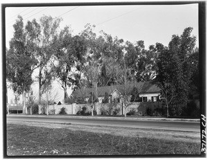 A roadside dwelling covered by trees