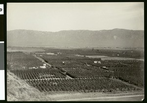 Panorama of San Bernardino, showing crop fields, ca.1900