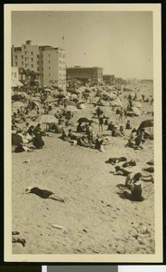 Sun-bathers on Venice Beach