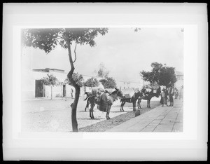 Street scene showing pack burros, Tepec, Mexico, ca.1900