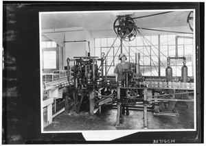 Woman inside a walnut packing plant, ca.1927