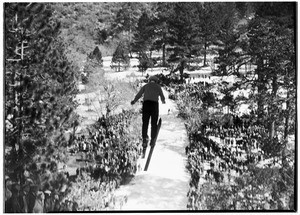 Back of a ski jumper as he leaps into the air above a crowd