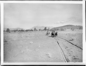 Two horse-drawn wagons on the road between the Painted Desert and the San Francisco Mountains, Arizona, ca.1900