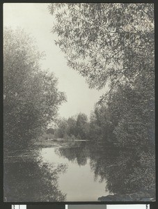 Unidentified riverside scene full of overhanging trees, ca.1950