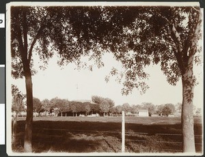 Ranch scene, Phoenix, Arizona