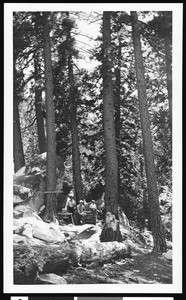 A campground at Sheep Spring, Mount Pacifico, ca.1930