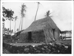 Fisherman's thatched hut, Hawaii