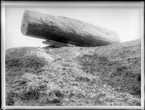 Mammoth petrified log in the petrified forest of Arizona, ca.1900