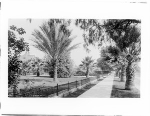 West side of Figueroa Street looking north from 22nd Street, Los Angeles, ca.1898