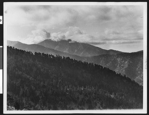 Tree-capped mountain ridges