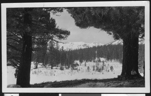 Panoramic view of snow covered mountains, ca.1930