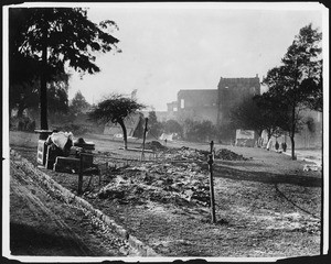 Graves of thirty unidentified dead after the earthquake, San Francisco, 1906