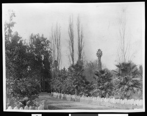 Garden at Lucky Baldwin's Santa Anita Rancho, ca.1900