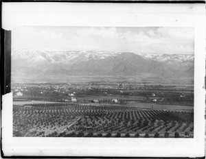 Orchards (orange groves) of Redlands, from Smiley Heights, ca.1895