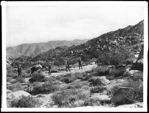 Hiking the Campo Divide to the Imperial Valley, 1904