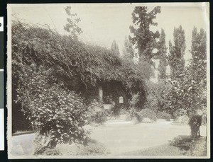 Grotto Grounds (?) at the College of Notre Dame in San Jose, California, ca.1900