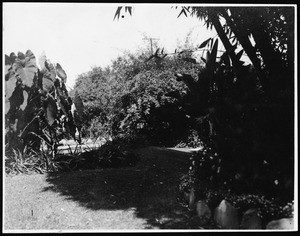 Mrs. Michael Connell's home, showing views of the yards, ca.1900