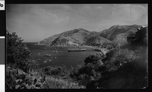 View of Avalon Harbor with a steamer at the dock, ca.1910