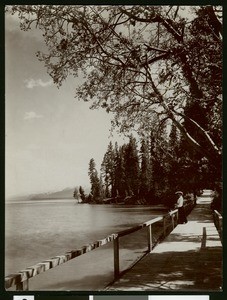 Woman standing on a wooden walk along the shore of Lake Tahoe, ca.1910