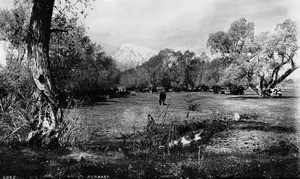 Mount Tom from a pasture in the town of Bishop, California, ca.1900-1940