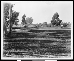 A municipal golf course at Long Beach, ca.1920