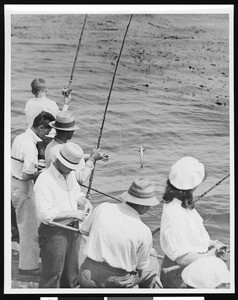 People fishing on a boat while a man is landing a small calico bass, San Clemente, ca.1930