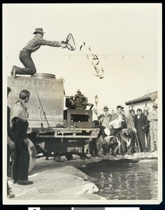 A man tossing trout into a trout preserve pond, Redlands, ca.1930