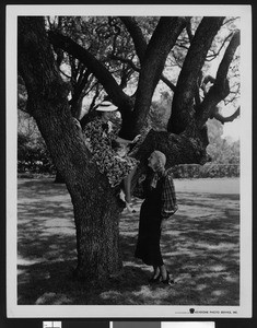 Woman seated in tree with hat on head, while below a woman stands nearby, ca.1930