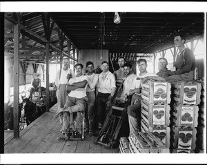 Group portrait of workers in a cantaloupe packing shed near El Centro, ca.1910
