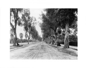 Magnolia Avenue, Riverside, ca.1900