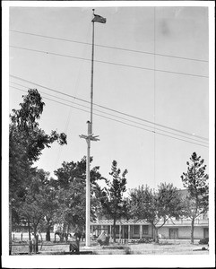 The bear flag of Sonoma, the upper portion of which is the flagpole of the celebrated "Bear Flag Uprising", California, ca.1923