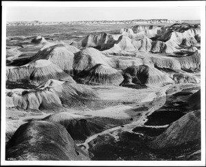 Eroded mud hills in the Petrified Forest of Arizona, 1935