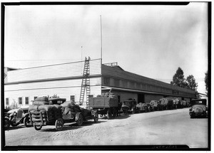Line of trucks loaded with walnut sacks at a La Puente Valley Walnut Growers' Association packing house, 1927