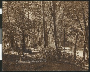 Trail at Happy Isles in Yosemite Valley at Yosemite National Park, ca.1900