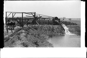 Horses providing mechanical energy to operate an irrigation machine