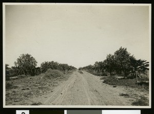 County road in Holtville, ca.1910
