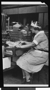 Woman factory worker sorting wrapped candy at a table, ca.1940